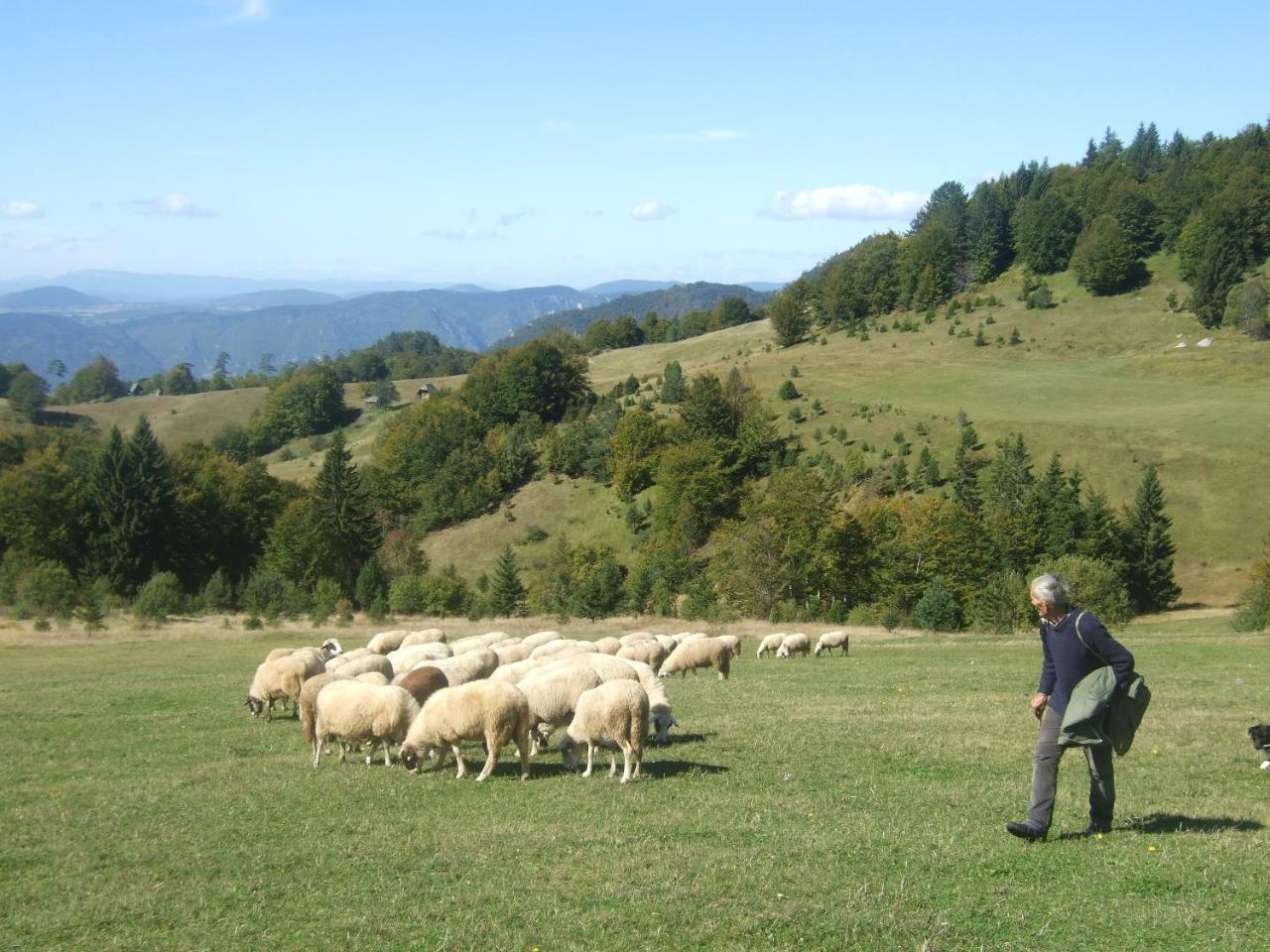 Zaovine Planinski Mir מראה חיצוני תמונה