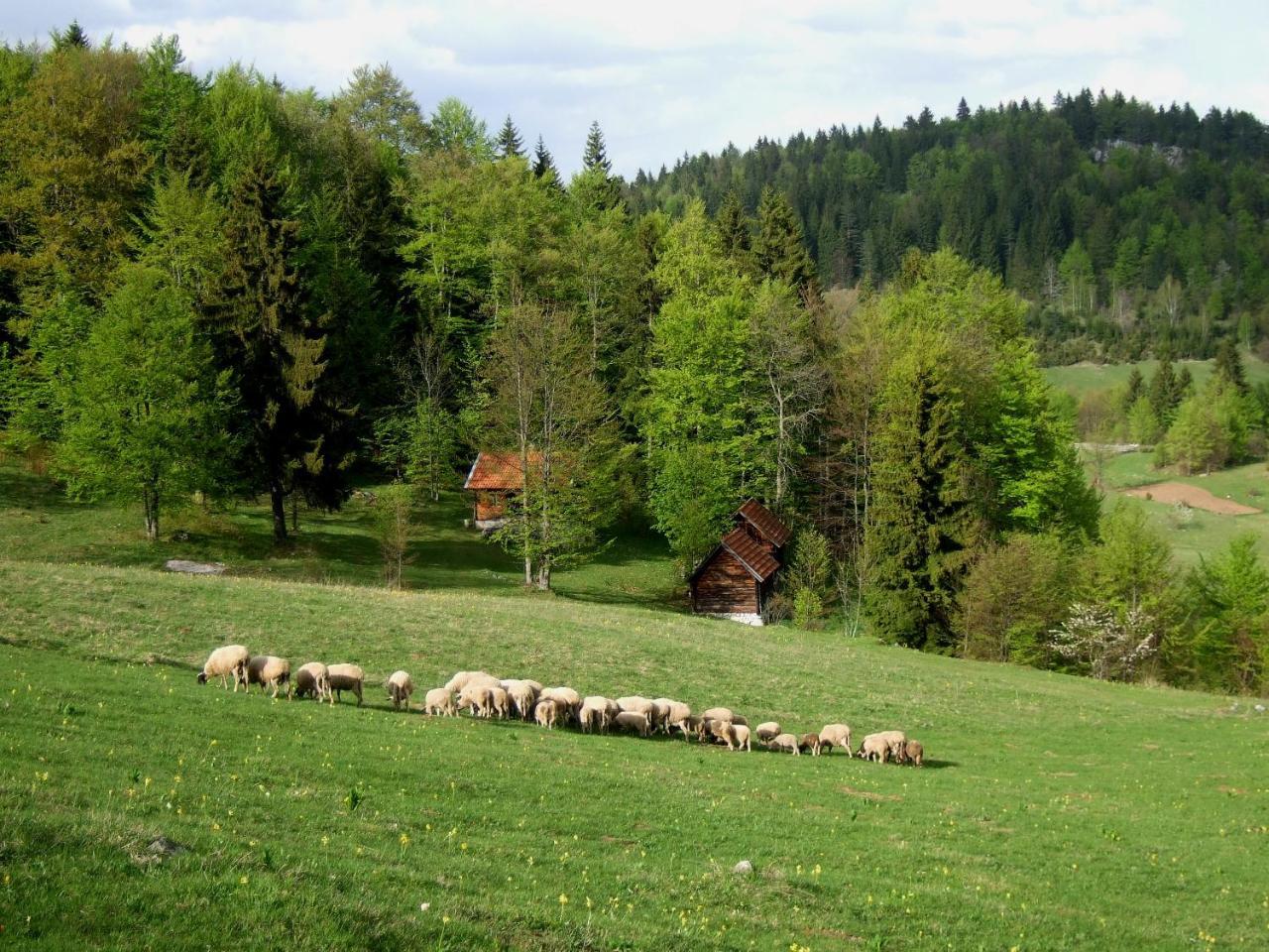 Zaovine Planinski Mir מראה חיצוני תמונה